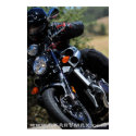 starVmax Poster #3 posters by fxstein starVmax Poster #3 posters