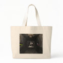 Stasis bags