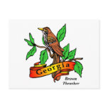 State of Georgia Gifts and Tees for Kids, Adults