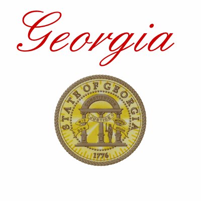 STATE OF GEORGIA TSHIRTS by TravisTeel