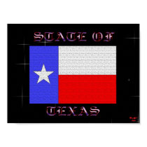 State Of Texas posters