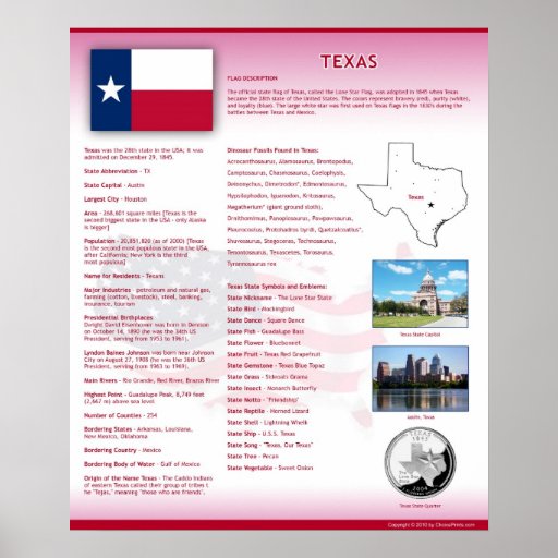 State of Texas,TX Posters