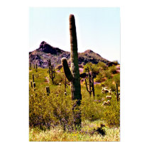 Stately Saguaro posters