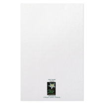 Stationary / Rocky Mountain Columbine stationery