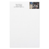 Stationary. Stationery