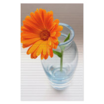 Stationery 1