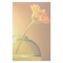 Stationery 2 by cshphotos Stationery 2