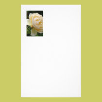 Stationery - Beautiful Rose stationery