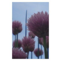 Stationery - Chives    Image 1
