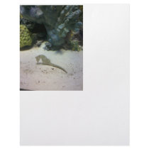 Stationery Custom Letterhead