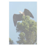 Stationery Eagle background