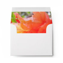 Stationery - Envelopes - Dwarf Pomegranate