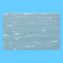 Stationery Floating Hubbard Glacier Ice Fragments stationery