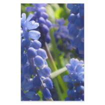 Stationery - Grape Hyacinth