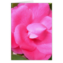 Stationery - Note Card 2 - Camellia 2