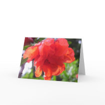 Stationery - Note Card ll - Dwarf Pomegranate