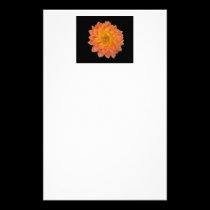 Stationery, Orange Dahlia on Black stationery