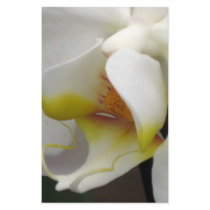 Stationery - Orchid