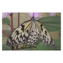 Stationery - Paper Kite Butterfly