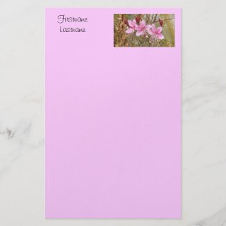 Stationery - Pink guara