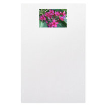 Stationery, Pink Plumeria Blossoms
