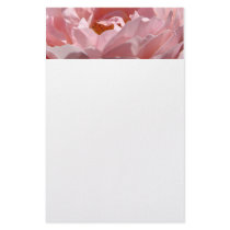 STATIONERY PINK Sunlit Rose Gift Daughters Moms by Basleeartprintgifts STATIONERY PINK Sunlit Rose Gift Daughters Moms