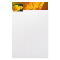 STATIONERY POPPIES Gift POPPY Flowers Stationery