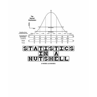 Statistics In A Nutshell (Baby Blocks Font) shirt