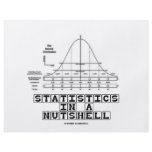 Statistics In A Nutshell (Stats Cheat Sheet) Flyer Design