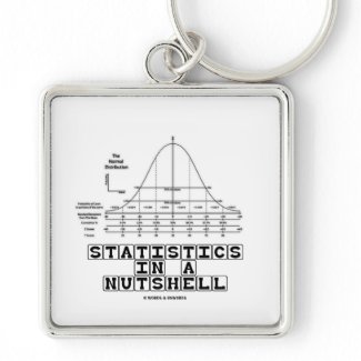 Statistics In A Nutshell (Stats Cheat Sheet) keychain