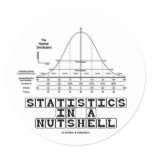 Statistics In A Nutshell (Stats Cheat Sheet) Round Stickers