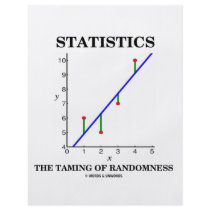 Statistics The Taming Of Randomness (Stats Humor) Custom Flyer