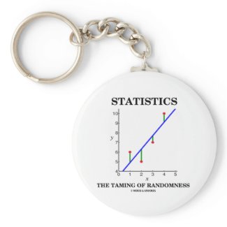 Statistics The Taming Of Randomness (Stats Humor) keychain