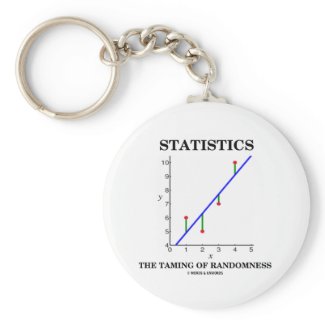 Statistics The Taming Of Randomness (Stats Humor) Key Chains