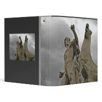 statue 3 ring binder