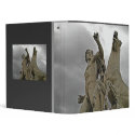 statue binder