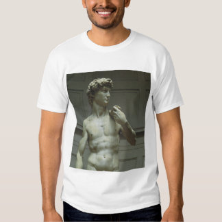 michelangelo david t shirt