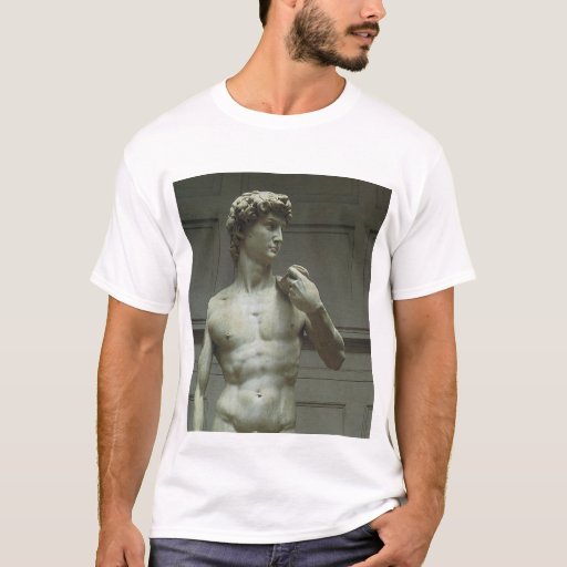 david michelangelo t shirt