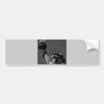 Statue of Liberty Bumper Sticker