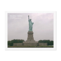 Statue Of Liberty postcards