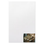 Statue of Liberty Toes stationery