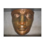 Statue of Liberty's Face Post Cards