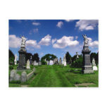 Statue & Stone Postcard