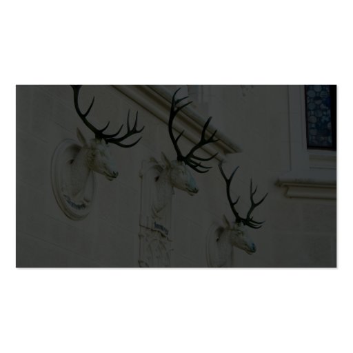 Statues Of Deers In The Castle Hluboka Business Card Templates (back side)