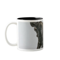 Statuette of a donkey braying, Roman Coffee Mugs