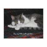 Stay Cozy Postcards
