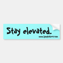 "Stay Elevated" Bumper Sticker