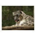 Stay Hungry posters by fredfishkin Stay Hungry posters
