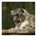 Stay Hungry posters by fredfishkin Stay Hungry posters