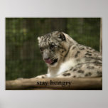 Stay Hungry posters